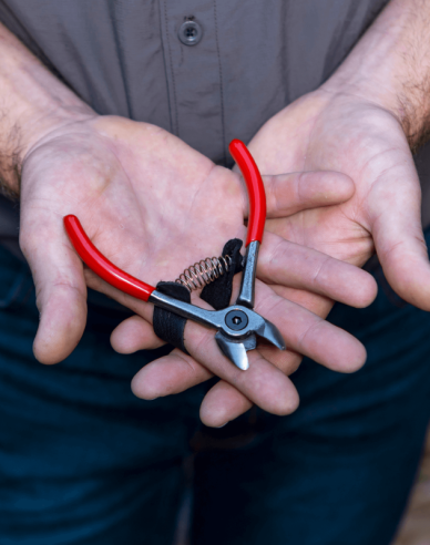 FELCO 330 Foarfece pentru fructe