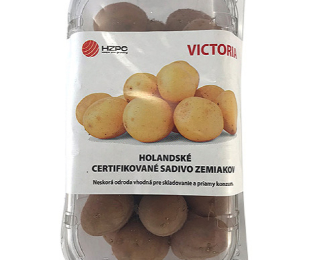 Cartofi de sămânță ´Victoria´ caserolă  aprox. 1kg