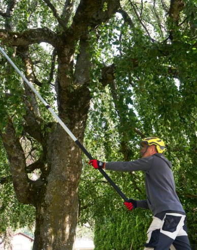 Ferăstrău telescopic FELCO 648