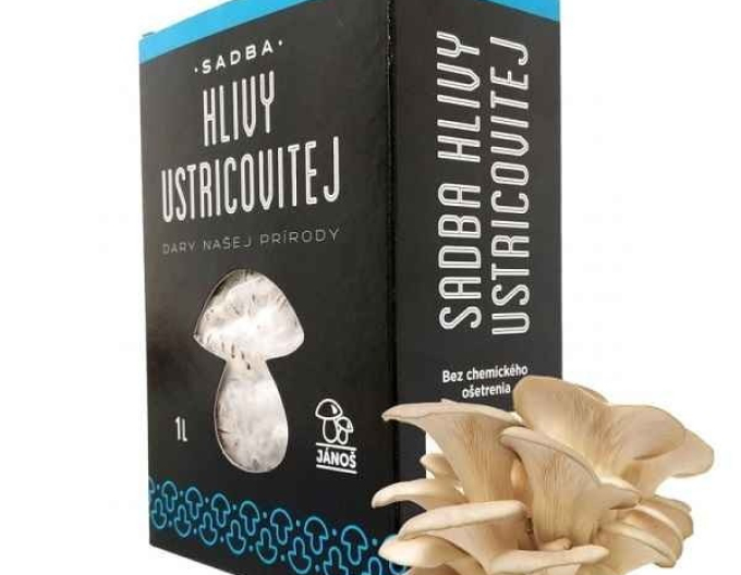 Miceliu de pleurotus Oyster 1l