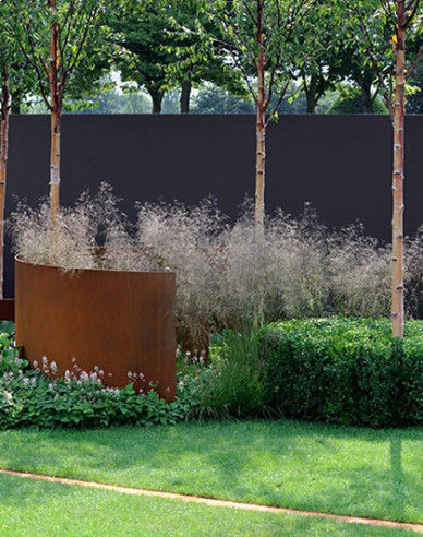 Deschampsia ´Goldschleier´ 2l
