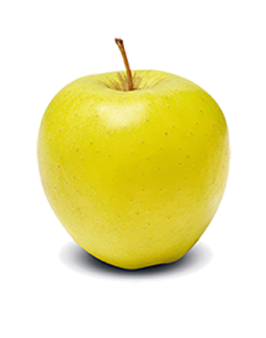 Măr ´Golden Delicious´ iarna, portaltoi M26, ghiveci 5l