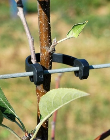 Bandă flexibilă STAMMHALTER cu lungimea de 125 mm