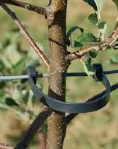Bandă flexibilă STAMMHALTER cu lungimea de 125 mm