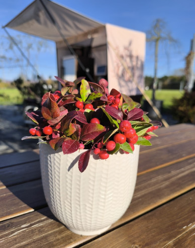 Ghiveci ornamental ceramic alb lucios