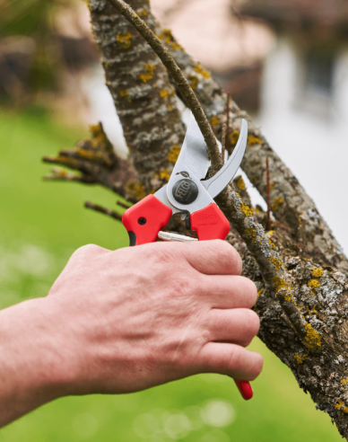 FELCO 171L Foarfece + FELCO 902 polizor