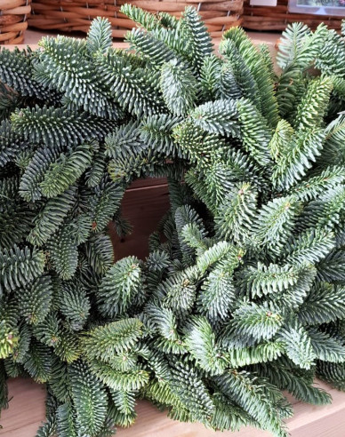 Coroniță de Crăciun (Abies Nobilis) 45cm