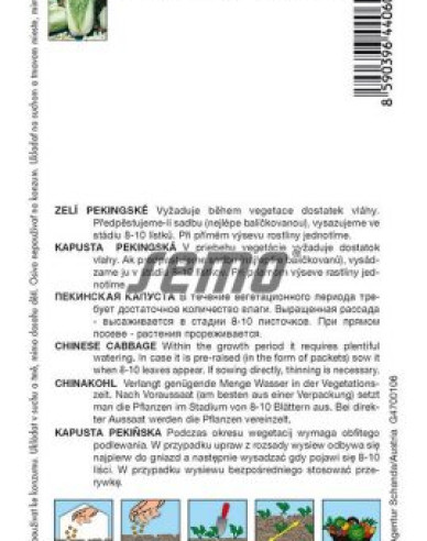 Varză chinezească ´Concord F1´
