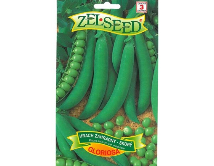 Zelssed Gloriosa mazăre