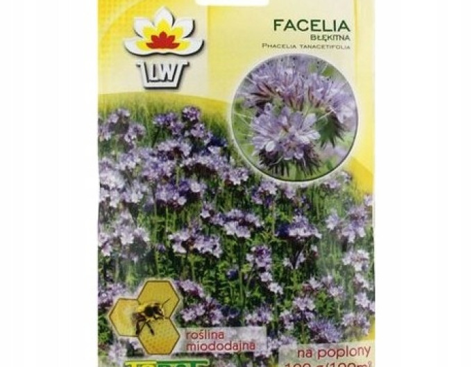 Phacelia tanacetifolia 50g