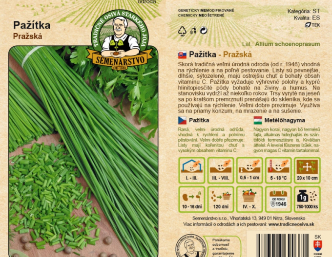 Pepinieră de semințe de arpagic ´Pražská´