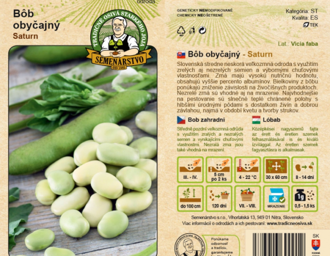 Producția de semințe de fasole comună ´Saturn´