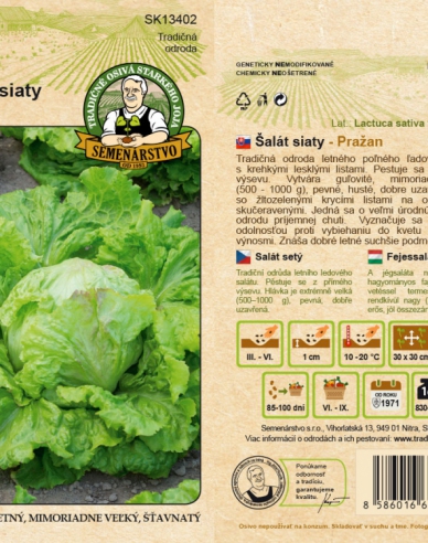 Salată sădită ´Pražan´