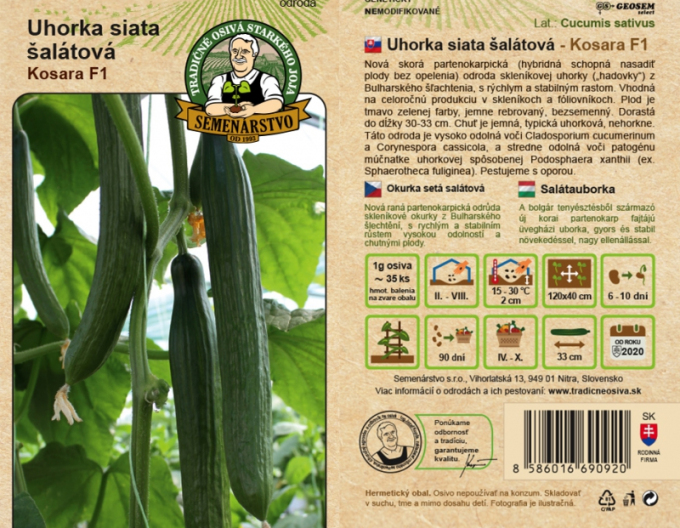 Castravete cultivat pentru salată ´Kosara F1´
