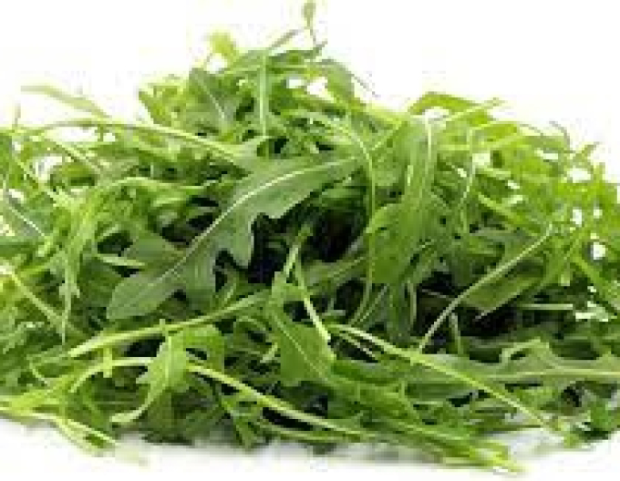 Rucola "Grazia