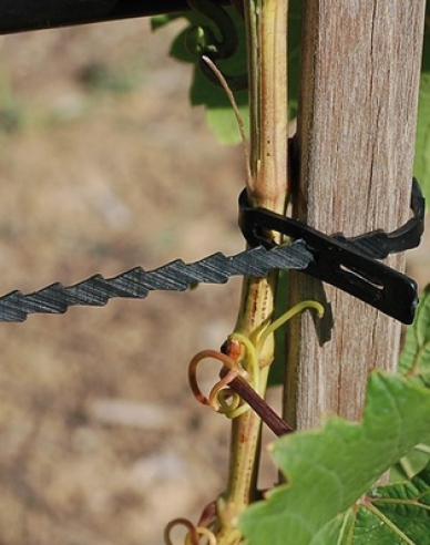 Pansament pentru copaci 180mm