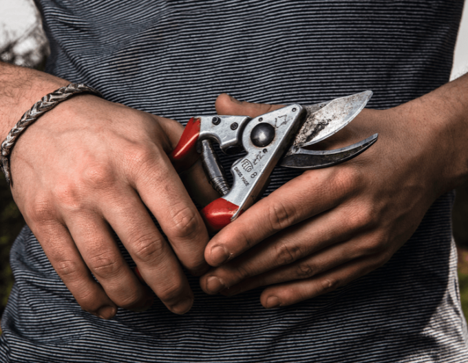 Foarfece FELCO 8 + ferăstrău FELCO 600