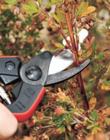 FELCO 160S Foarfece de secționat