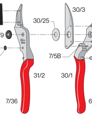 FELCO 31 Foarfece pentru fructe