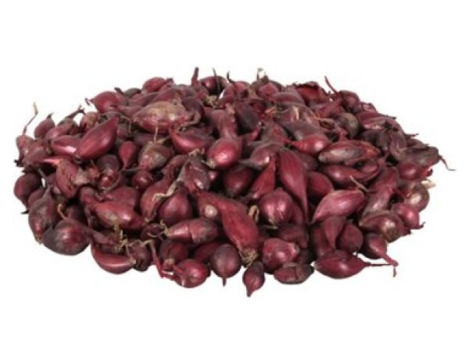 Plantator de ceapă ´Karmen´ 8/16 0,25kg